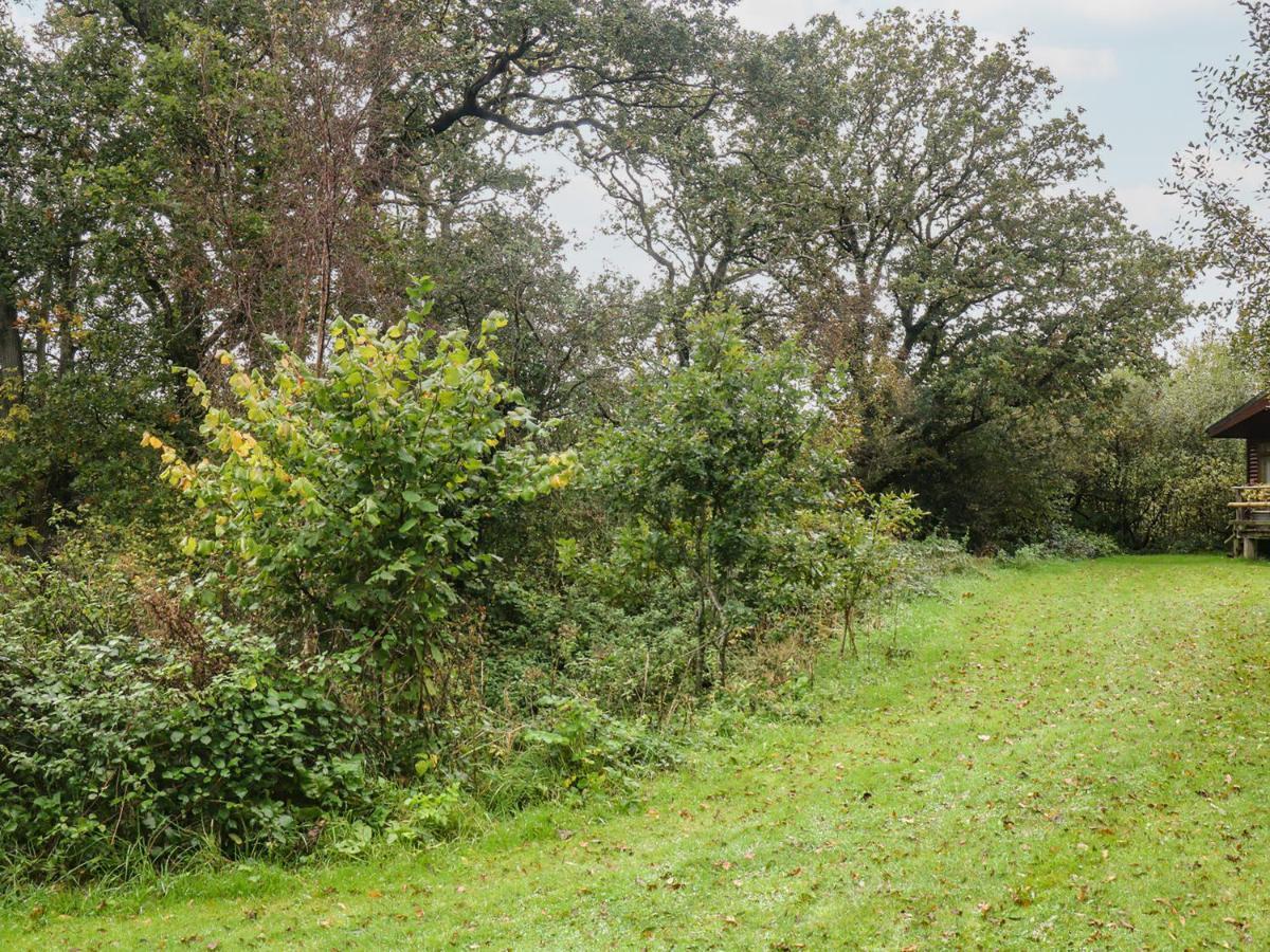 Braeburn Lodge Winkleigh Esterno foto