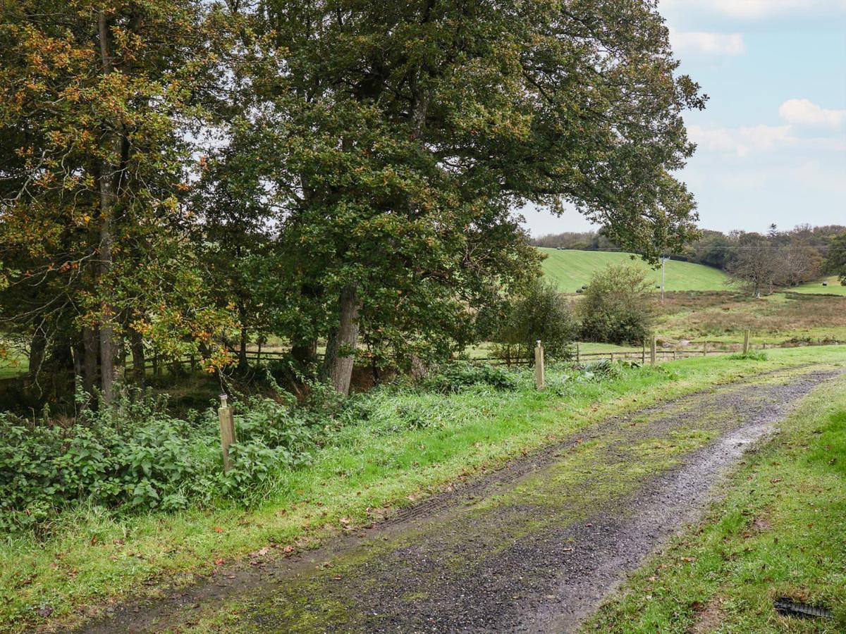 Braeburn Lodge Winkleigh Esterno foto