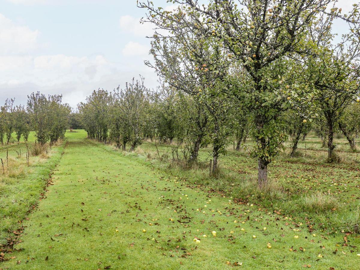 Braeburn Lodge Winkleigh Esterno foto