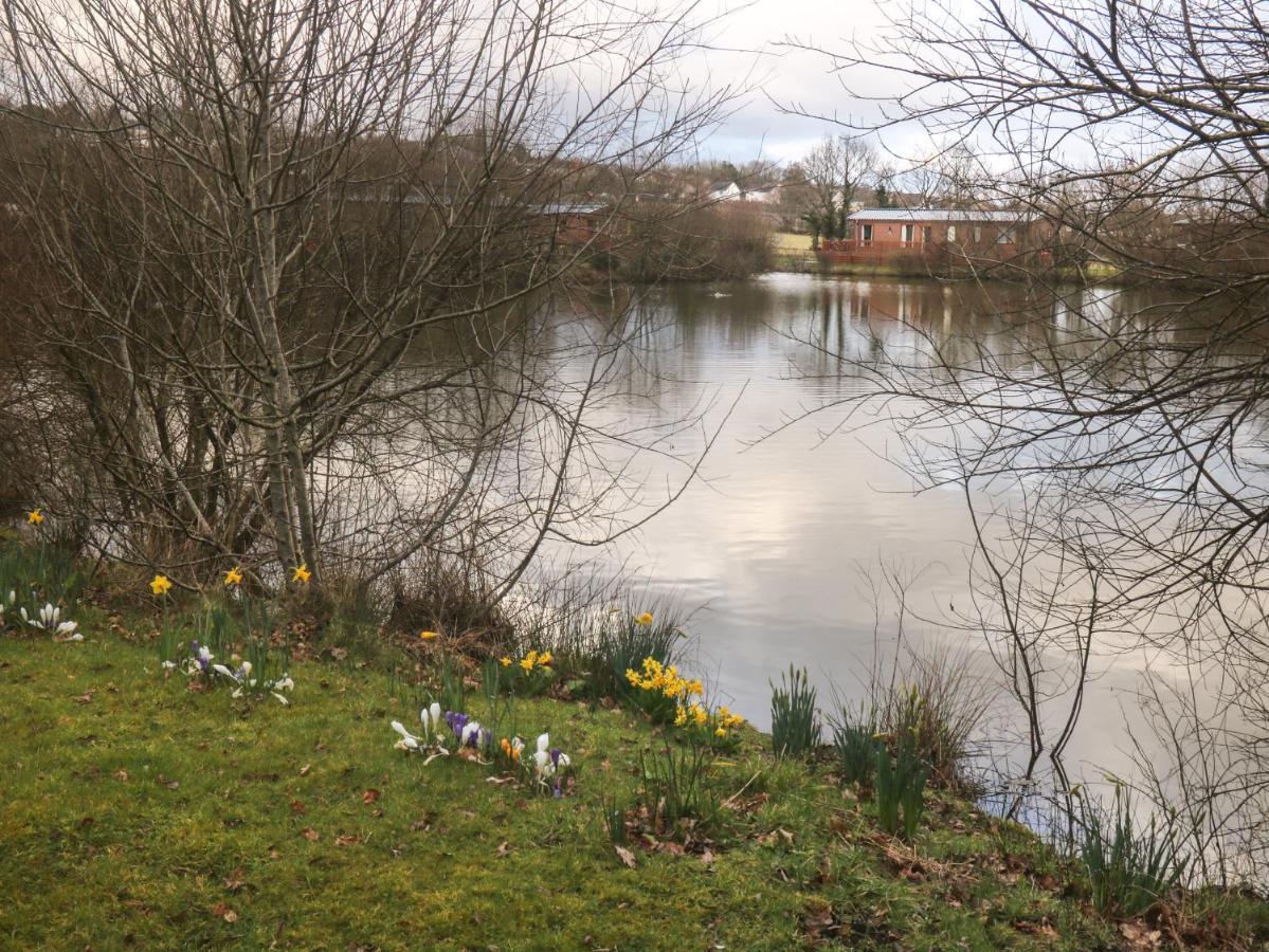 Braeburn Lodge Winkleigh Esterno foto